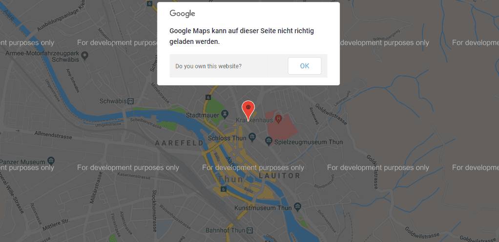Google Maps Developer Mode